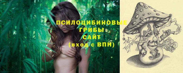каннабис Гусев