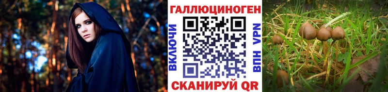 Псилоцибиновые грибы Cubensis  Купить закладки  Миасс 